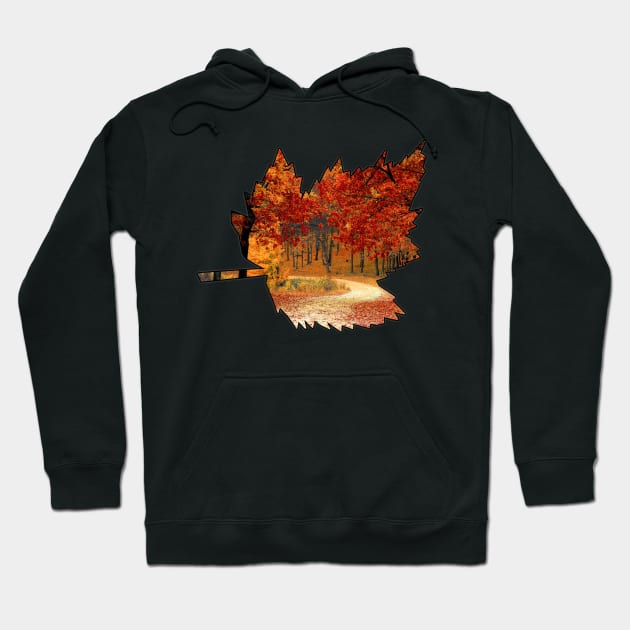 Maple Leaf Outline (Fall Colors) Hoodie by gorff